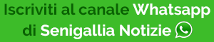 订阅 Senigallia Notizie Whatsapp 频道，激活小铃并接收更新