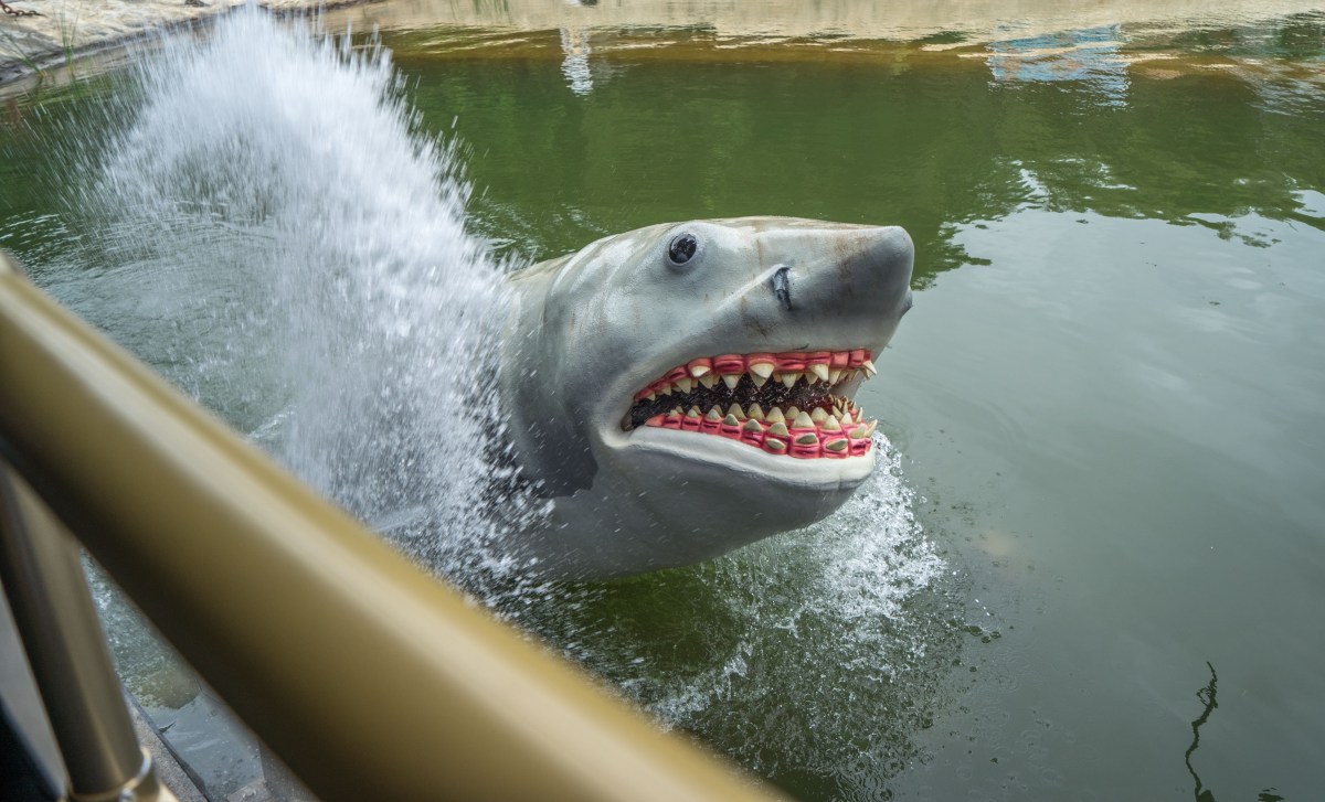 退休渔夫买了一张受电影《大白鲨》启发的彩票，中了100万美元