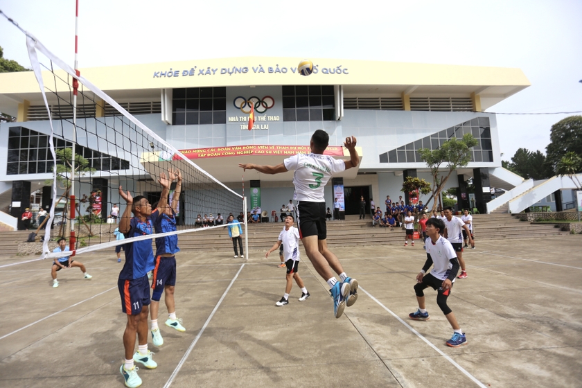 近500名运动员参加越南橡胶工业集团体育节